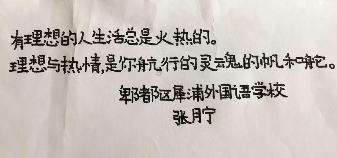 植物大战僵尸18